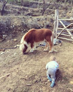 workaway, travel as they grow