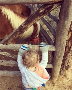 workaway, travel as they grow
