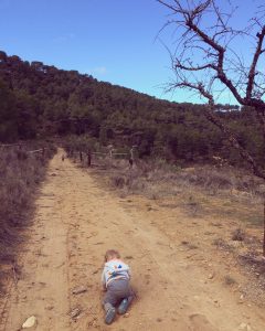 workaway, travel as they grow