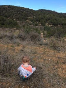 workaway, volunteering, travel as they grow