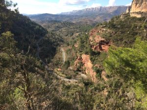 Suriana Motorhome Travel As They Grow