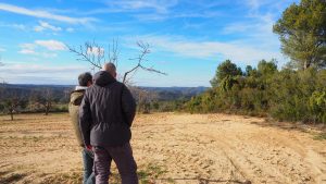 workaway, travel as they grow