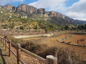 Suriana Motorhome Travel As They Grow