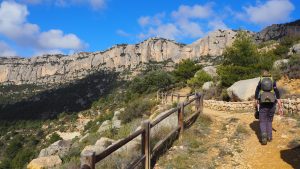 Suriana Motorhome Travel As They Grow